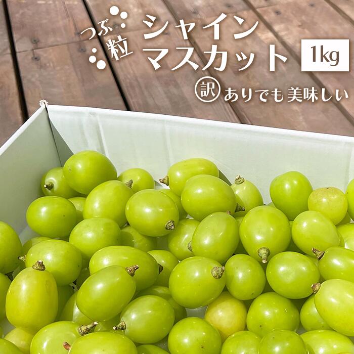 【2026年発送★先行予約】訳あり！ シャインマスカット 粒【えらべる1kg・2kg】 種なしぶどう 山梨県 笛吹市 フルーツ 果物 人気 期間限定 ぶどう ブドウ 葡萄 旬 人気 ランキング コスパ 粒が大きい 甘い 美味しい 数量限定 KEIPE株式会社販売 154-033