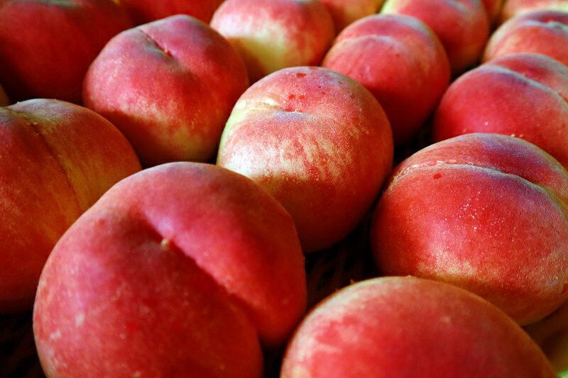 【ふるさと納税】【2026年発送★先行予約】大人気くだもの定期便全2回 ふるさと納税 シャインマスカット 桃 もも 笛吹市 国産 人気 期間限定 ぶどう ブドウ 葡萄 定期便 果物 フルーツ 山梨県 送料無料 157-011 サムネイル2