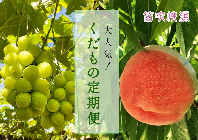 【2026年発送★先行予約】大人気くだもの定期便全2回 ふるさと納税 シャインマスカット 桃 もも 笛吹市 国産 人気 期間限定 ぶどう ブドウ 葡萄 定期便 果物 フルーツ 山梨県 送料無料 157-011