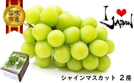 ＜2025年冬発送＞低温貯蔵シャインマスカット2房 1kg以上　ふるさと納税 おすすめ ランキング シャインマスカット 笛吹市 国産 人気 期間限定 ぶどう ブドウ 葡萄 旬 果物 フルーツ デザート 山梨県 送料無料 082-021