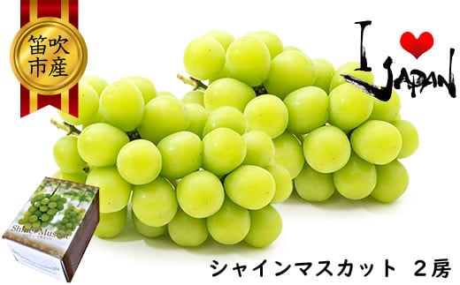 【2026年発送★先行予約】厳選高級シャインマスカット1kg以上（2房） ふるさと納税 おすすめ ランキング シャインマスカット 笛吹市 国産 人気 期間限定 ぶどう ブドウ 葡萄 旬 果物 フルーツ デザート 山梨県 送料無料 082-011
