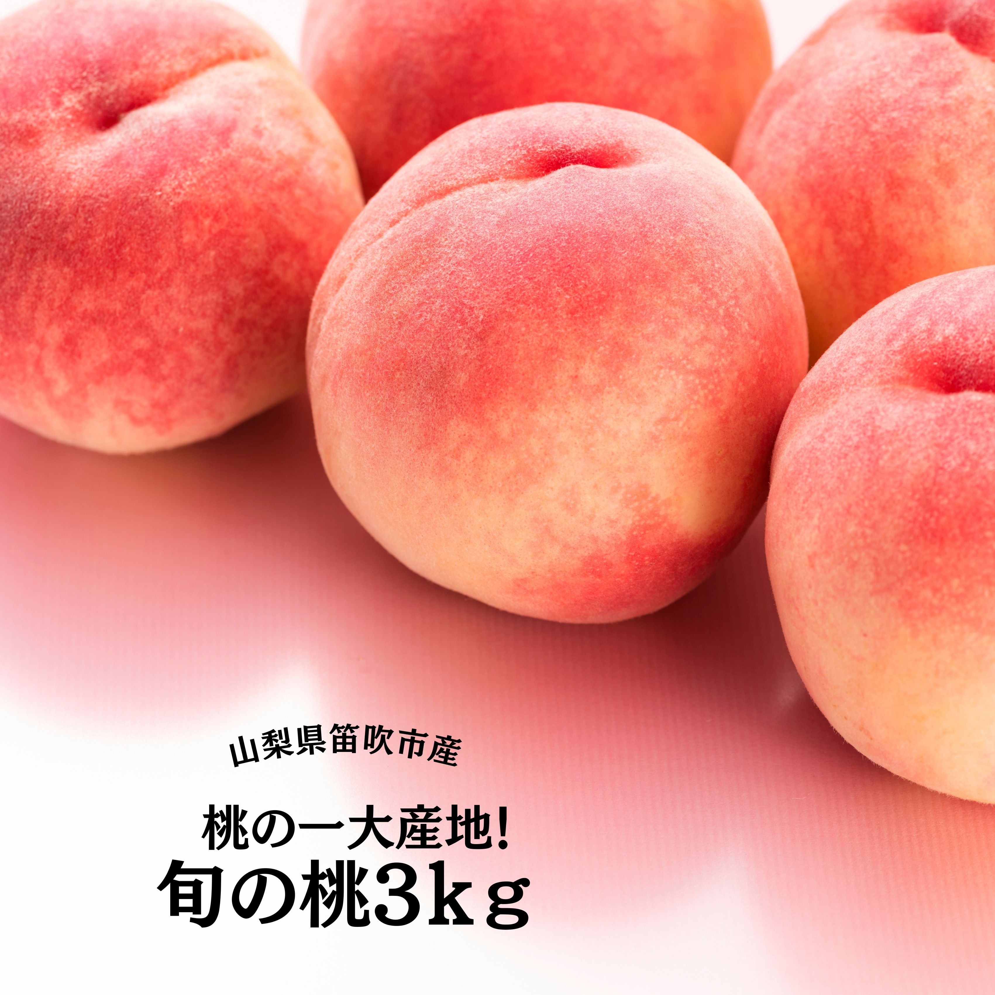 ＜25年発送先行予約＞&【2026年発送★先行予約】桃の一大産地！笛吹市産旬の桃3kg ふるさと納税 もも 桃 笛吹市 国産 人気 期間限定 果物 フルーツ 旬 山梨県 送料無料 167-011
