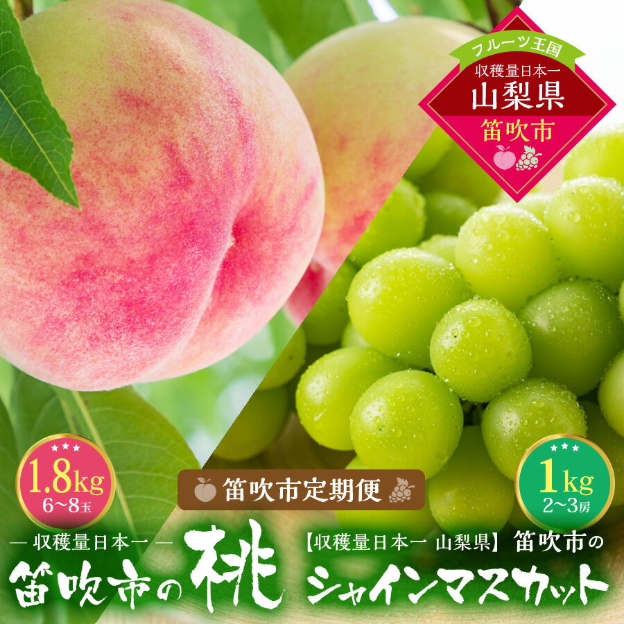 【2026年発送★先行予約】『山梨夏の味覚定期便』笛吹市産旬の桃とシャインマスカット各1回 ふるさと納税 シャインマスカット 人気 ぶどう ブドウ 葡萄 旬 もも 桃 笛吹市 国産 人気 期間限定 果物 フルーツ 旬 山梨県 送料無料 167-014