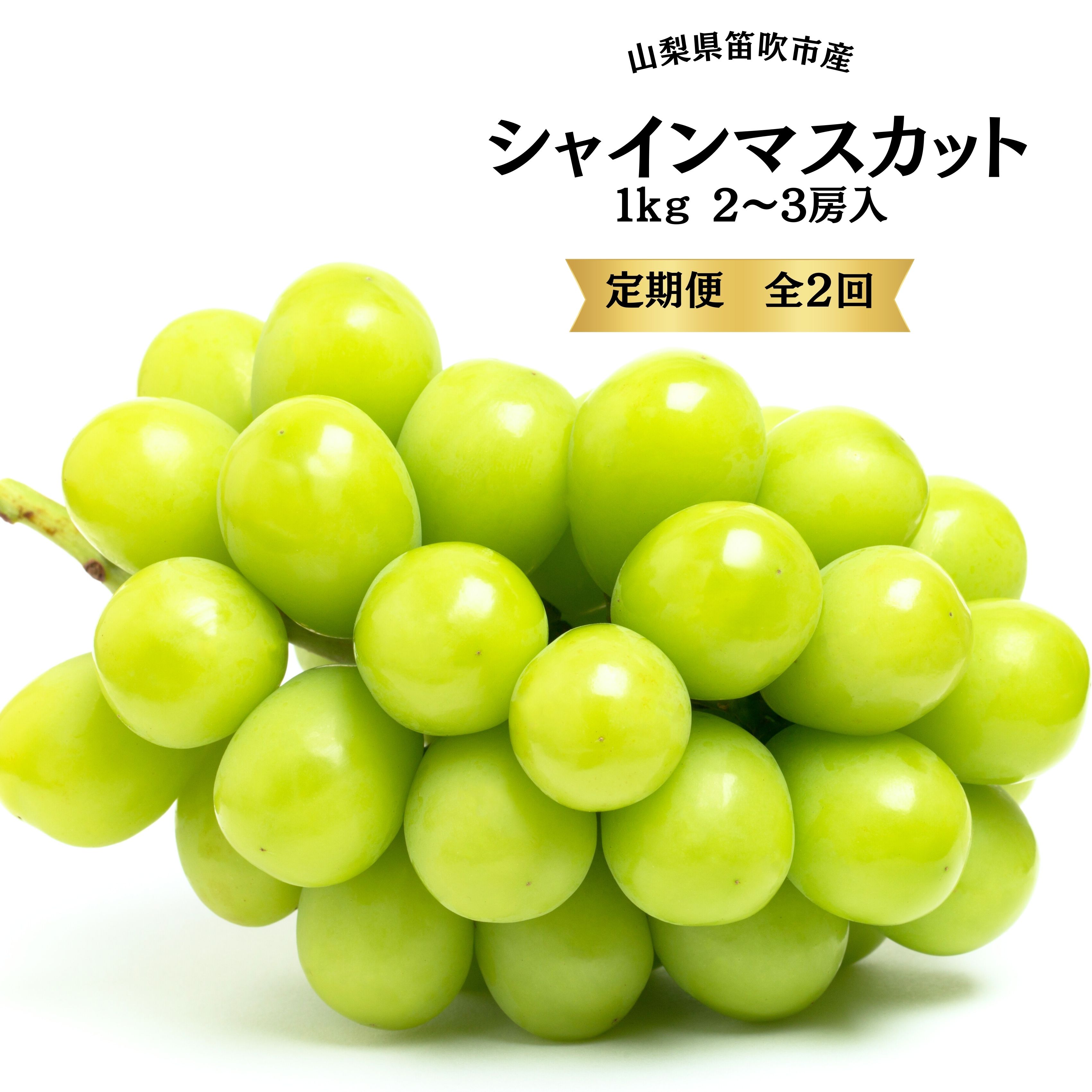 【2026年発送★先行予約】 定期便2回 ふるさと納税 シャインマスカット 定期便 シャイン マスカット 大人気 特産品 人気 ぶどう ブドウ 葡萄 旬 笛吹市 国産 人気 期間限定 果物 フルーツ 山梨県 送料無料 167-015