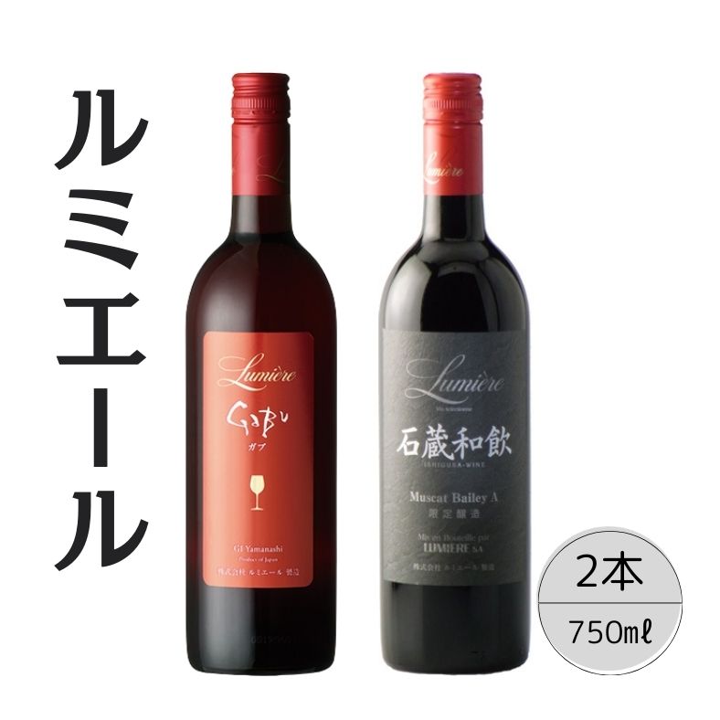 ルミエール　GABU・石蔵和飲　2本セット ふるさと納税 ワイン 笛吹市 山梨ワイン 酒 アルコール 山梨県 記念品 お祝い 送料無料 167-120