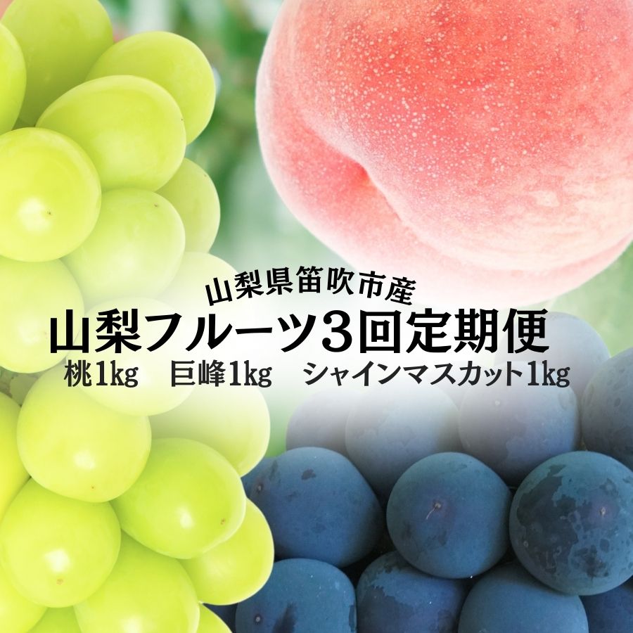 【2026年発送★先行予約】山梨のフルーツ定期便 全3回　桃 巨峰 シャインマスカット ふるさと納税 フルーツ 定期便 桃 巨峰 種なし巨峰 シャインマスカット 山梨県 笛吹市 送料無料 167-140