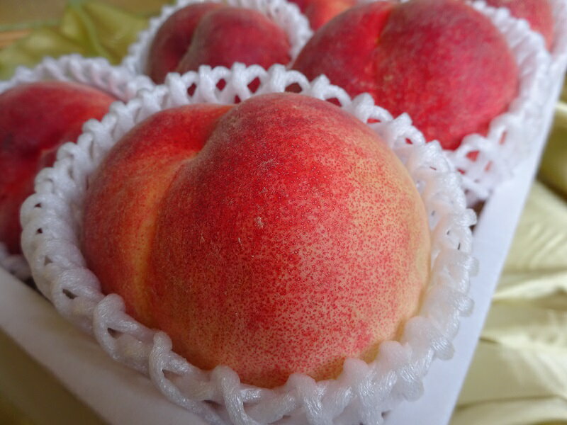 【ふるさと納税】【2026年発送★先行予約】『山梨夏の味覚定期便』笛吹市産旬の桃とシャインマスカット各1回 ふるさと納税 シャインマスカット 人気 ぶどう ブドウ 葡萄 旬 もも 桃 笛吹市 国産 人気 期間限定 果物 フルーツ 旬 山梨県 送料無料 167-014 サムネイル3