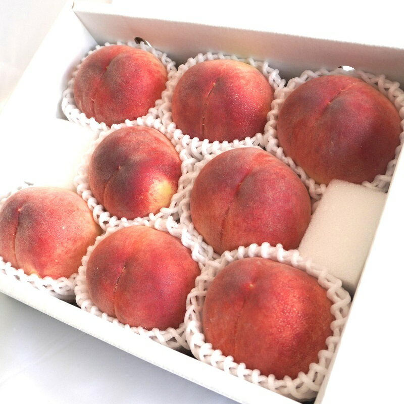 【ふるさと納税】【2026年発送★先行予約】山梨のフルーツ定期便 全3回　桃 巨峰 シャインマスカット ふるさと納税 フルーツ 定期便 桃 巨峰 種なし巨峰 シャインマスカット 山梨県 笛吹市 送料無料 167-140 - 画像2