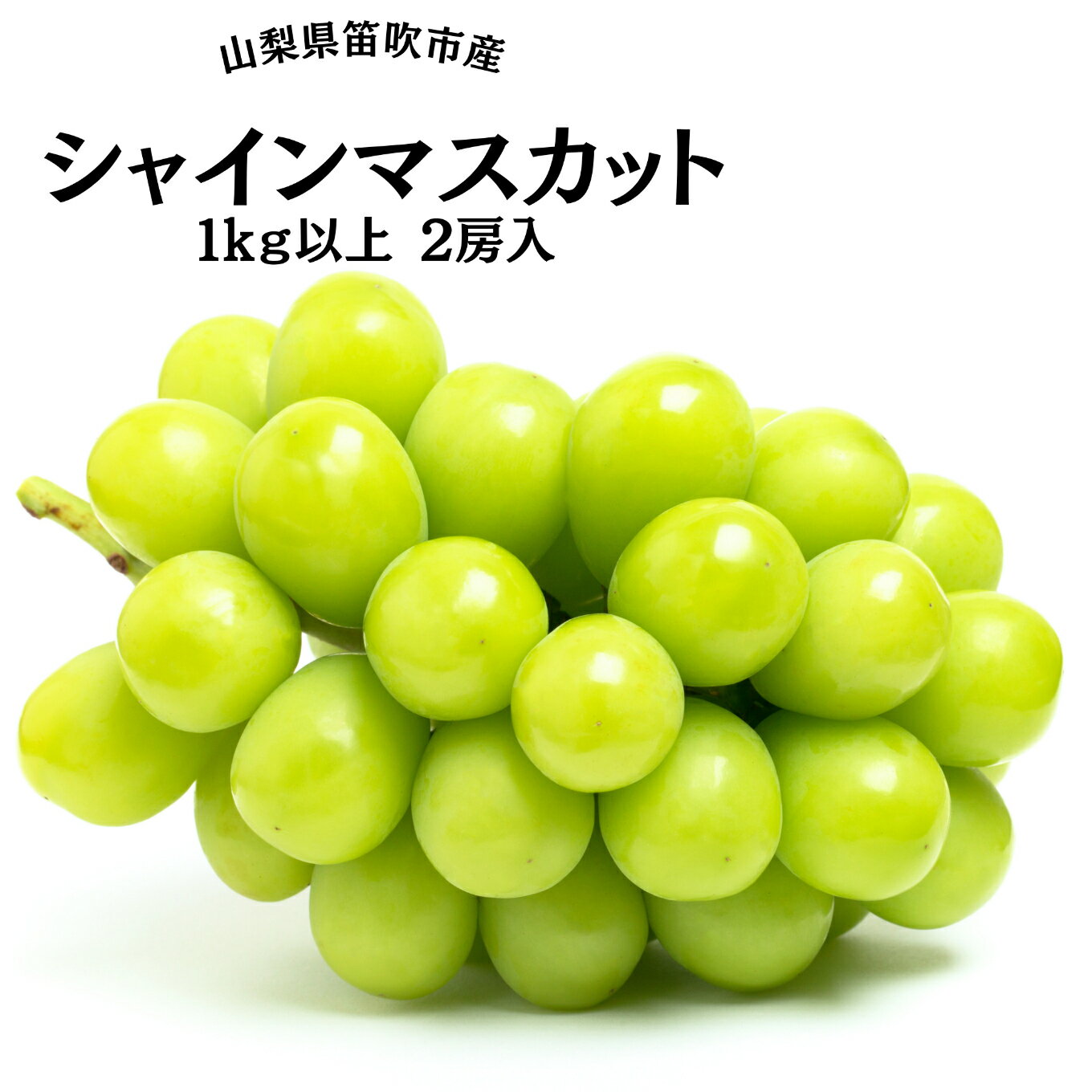 ＜25年発送＞【2026年発送★先行予約】葡萄の一大産地！笛吹市産シャインマスカット1kg以上 ふるさと納税 シャインマスカット 笛吹市 国産 人気 期間限定 ぶどう ブドウ 葡萄 旬 果物 フルーツ 山梨県 送料無料 167-002