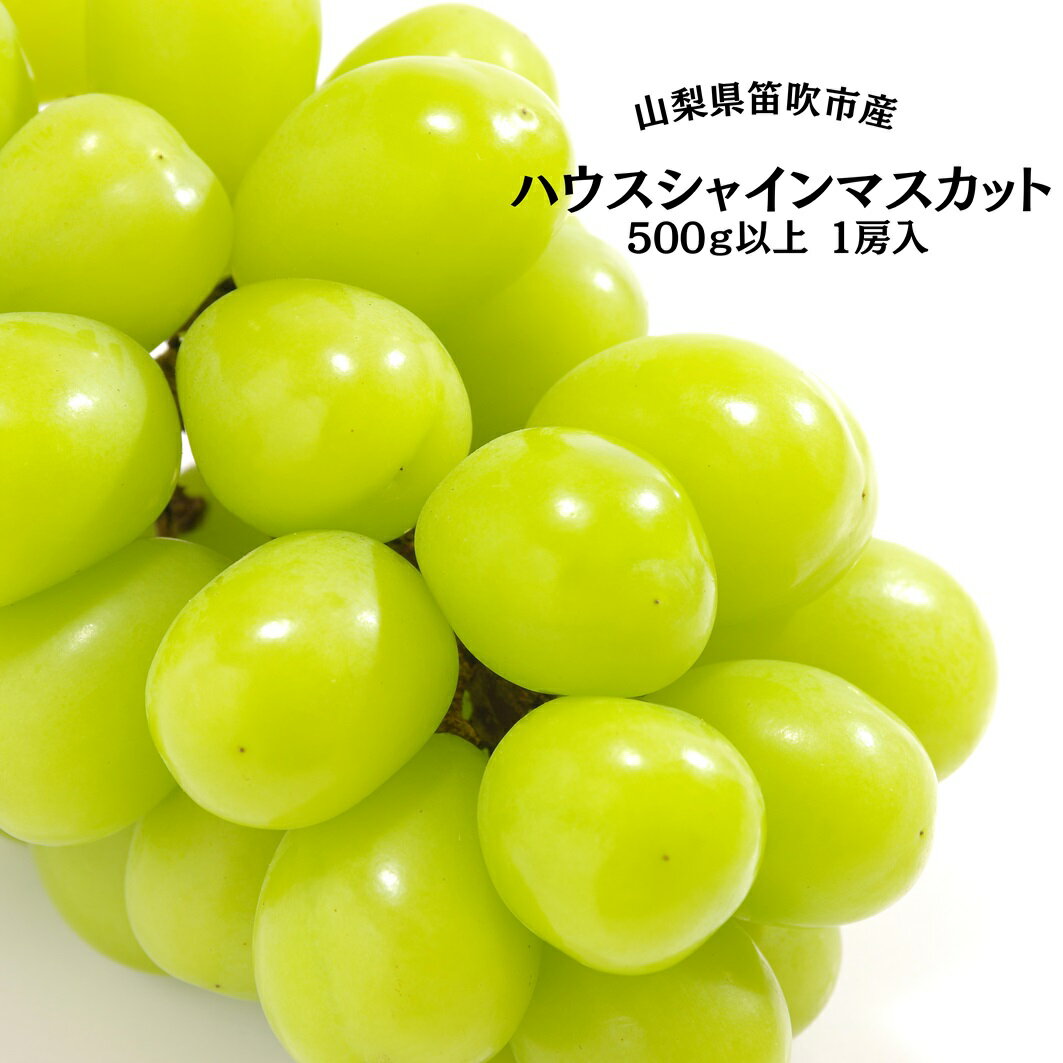 【2026年発送★先行予約】葡萄の一大産地！笛吹市産ハウスシャインマスカット500g以上 ふるさと納税 笛吹市 国産 人気 期間限定 旬 果物 フルーツ 山梨県 送料無料 167-008