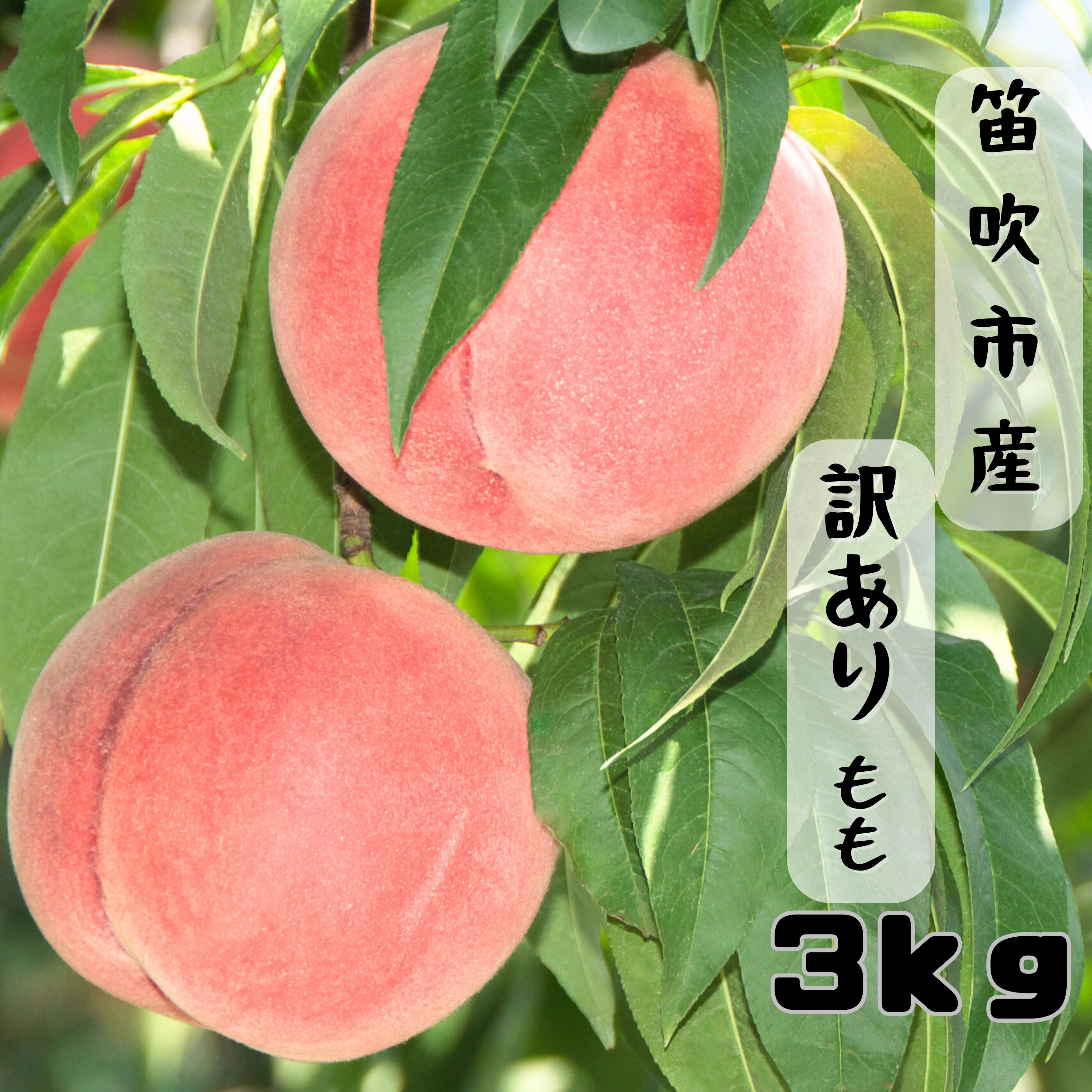 ＜25年発送先行予約＞ & 【2026年発送★先行予約】笛吹市産 訳あり桃 約3kg 167-026 ※訳あり品のため注意事項をご確認ください