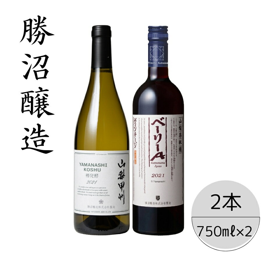 勝沼醸造　山梨甲州樽発酵・ベーリーAヴィンテージ2本セット ふるさと納税 ワイン 笛吹市 山梨ワイン 酒 アルコール 山梨県 記念品 お祝い 送料無料 167-046