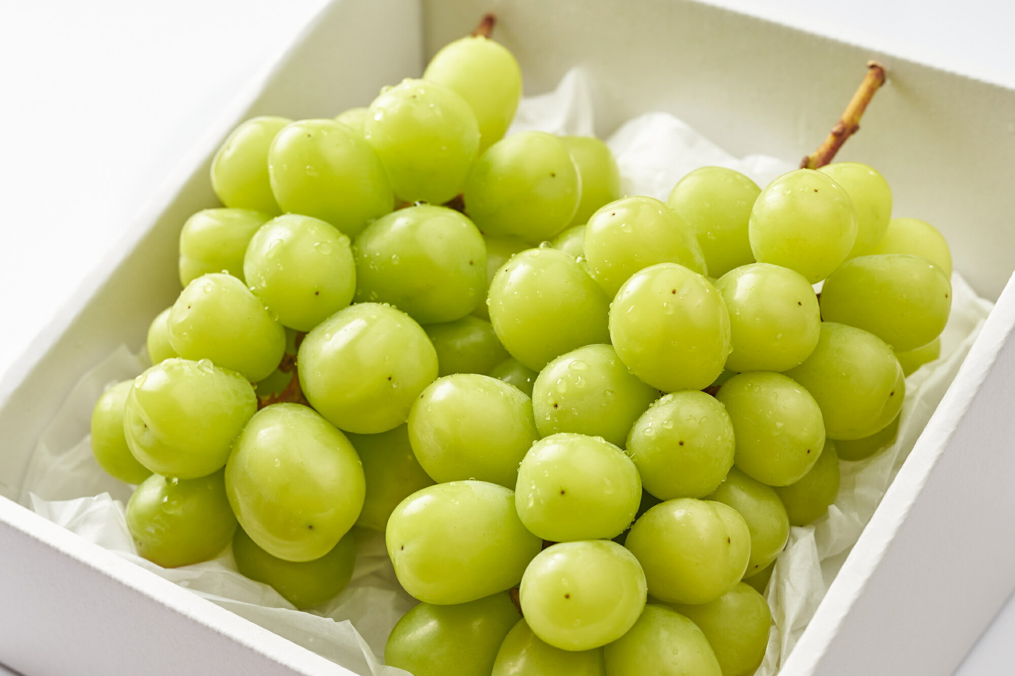 【ふるさと納税】【2026年発送★先行予約】甘さ抜群プリプリ　シャインマスカット　2〜3房　1.2kg以上 ふるさと納税 シャインマスカット 笛吹市 国産 人気 期間限定 ぶどう ブドウ 葡萄 旬 果物 フルーツ 山梨県 送料無料 168-001 - 画像3