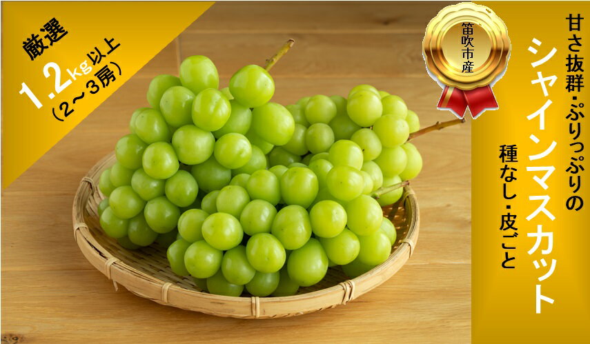【ふるさと納税】【2026年発送★先行予約】甘さ抜群プリプリ　シャインマスカット　2〜3房　1.2kg以上 ふるさと納税 シャインマスカット 笛吹市 国産 人気 期間限定 ぶどう ブドウ 葡萄 旬 果物 フルーツ 山梨県 送料無料 168-001 - 画像2