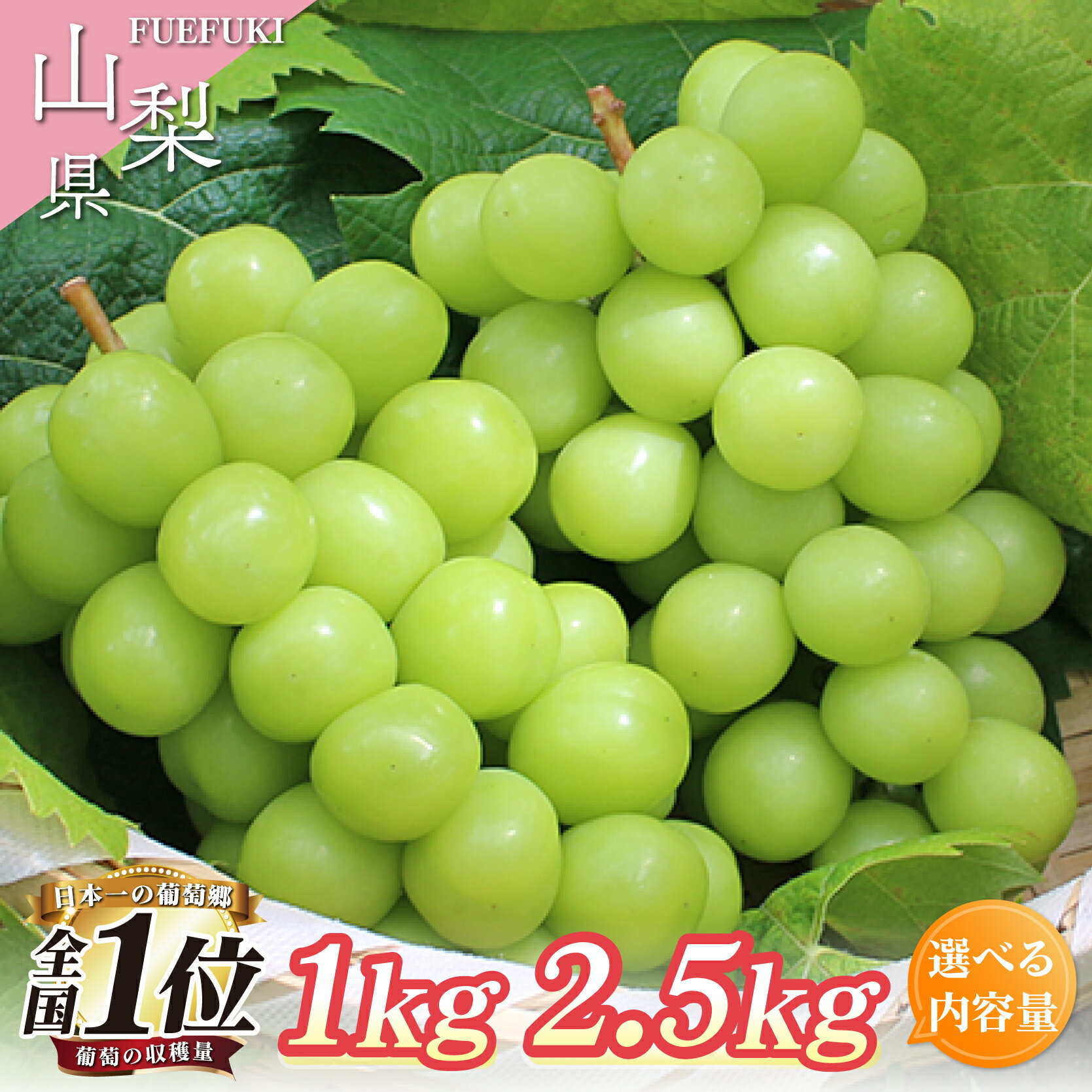 【2026年発送★先行予約】 選べる 内容量 シャインマスカット 1kg以上 2.5kg以上 2～6房 大容量 たっぷり 葡萄 ぶどう (沖縄・離島配送不可)期間限定 人気 贈答 ギフト 中元 お盆 旬 果物 山梨県 笛吹市 高評価 送料無料 フルーツ 先行 予約　180-002/003