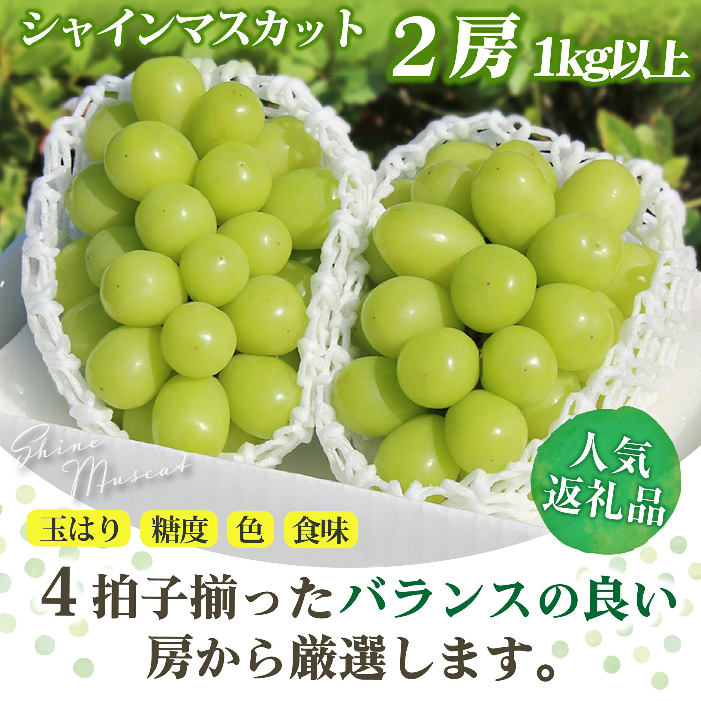 【ふるさと納税】【2026年発送★先行予約】 選べる 内容量 シャインマスカット 1kg以上 2.5kg以上 2～6房 大容量 たっぷり 葡萄 ぶどう (沖縄・離島配送不可)期間限定 人気 贈答 ギフト 中元 お盆 旬 果物 山梨県 笛吹市 高評価 送料無料 フルーツ 先行 予約　180-002/003 サムネイル2