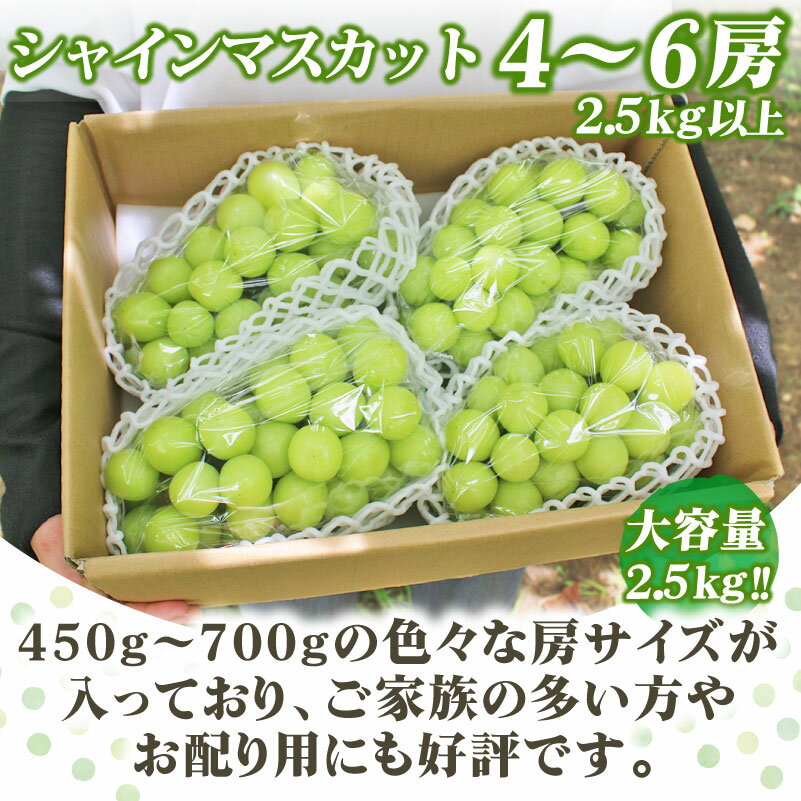 【ふるさと納税】【2026年発送★先行予約】 選べる 内容量 シャインマスカット 1kg以上 2.5kg以上 2～6房 大容量 たっぷり 葡萄 ぶどう (沖縄・離島配送不可)期間限定 人気 贈答 ギフト 中元 お盆 旬 果物 山梨県 笛吹市 高評価 送料無料 フルーツ 先行 予約　180-002/003 サムネイル3
