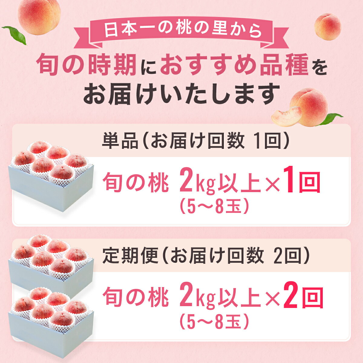 【ふるさと納税】 【2026年発送★先行予約】選べるフルーツ定期便 単品「桃」 1回or2回 (沖縄・離島配送不可)期間限定 もも 桃 モモ 人気 贈答 ギフト 中元 お盆 帰省 旬 果物 山梨県 笛吹市 リピート 高評価 送料無料　180-004/180-007 サムネイル2