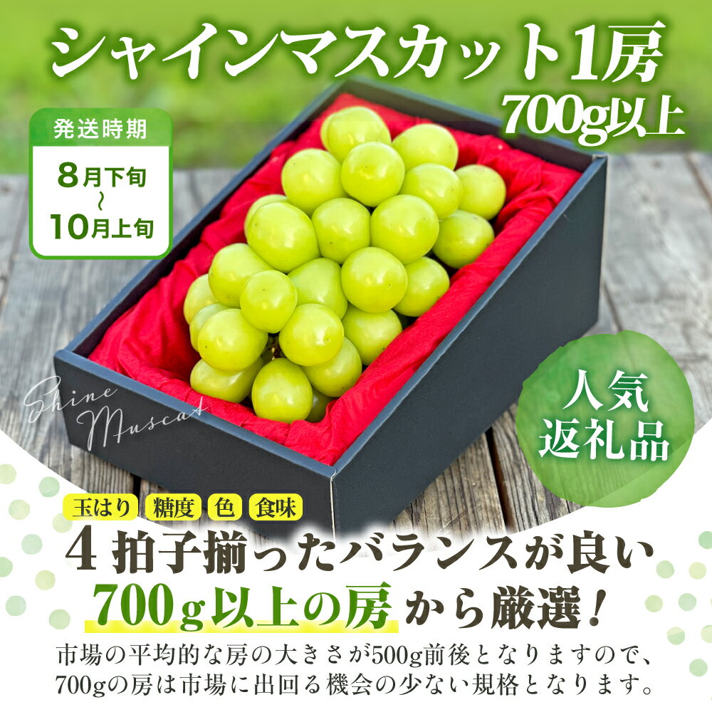 【ふるさと納税】【2026年発送★先行予約】 選べるフルーツ定期便 単品 「シャインマスカット・富士の輝」1回or2回 (沖縄・離島配送不可)期間限定 シャインマスカット ぶどう 人気 贈答 ギフト 中元 お盆 旬 果物 山梨県 笛吹市 リピート 高評価 送料無料 180-011/001/012 サムネイル2