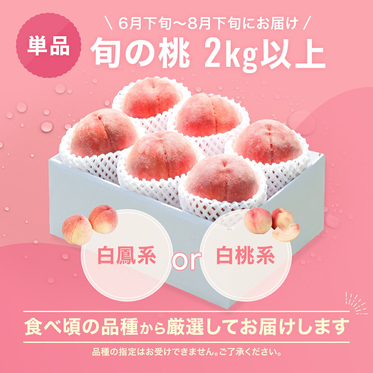 【ふるさと納税】 【2026年発送★先行予約】選べるフルーツ定期便 単品「桃」 1回or2回 (沖縄・離島配送不可)期間限定 もも 桃 モモ 人気 贈答 ギフト 中元 お盆 帰省 旬 果物 山梨県 笛吹市 リピート 高評価 送料無料　180-004/180-007 サムネイル3