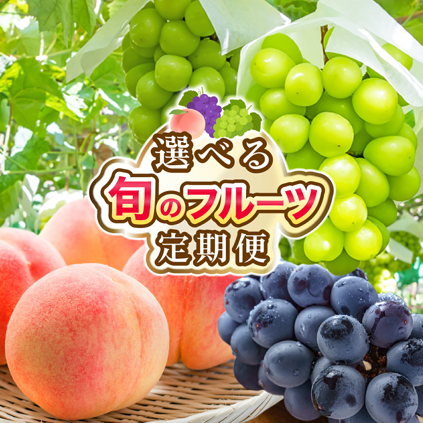 【2026年発送★先行予約】定期便 フルーツ 先行予約 山梨 シャインマスカット 桃 黒葡萄 高評価 お試し ふるさと納税 ランキング 果物 山梨県 笛吹市 人気 冷蔵 定期 もも ぶどう 葡萄