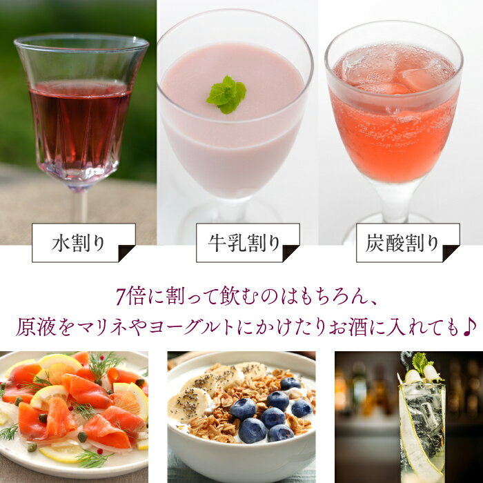 【ふるさと納税】【満点☆青空レストランで紹介されました！】【6回定期便】ドリンクビネガー（ぶどう720ml）12本セット ※ぶどう×2本を6回お届け ドリンクビネガー 定期便 セット ぶどう 葡萄 ブドウ お酢 飲むお酢 健康 人気 プレゼント 贈り物 山梨県 182-022 サムネイル3