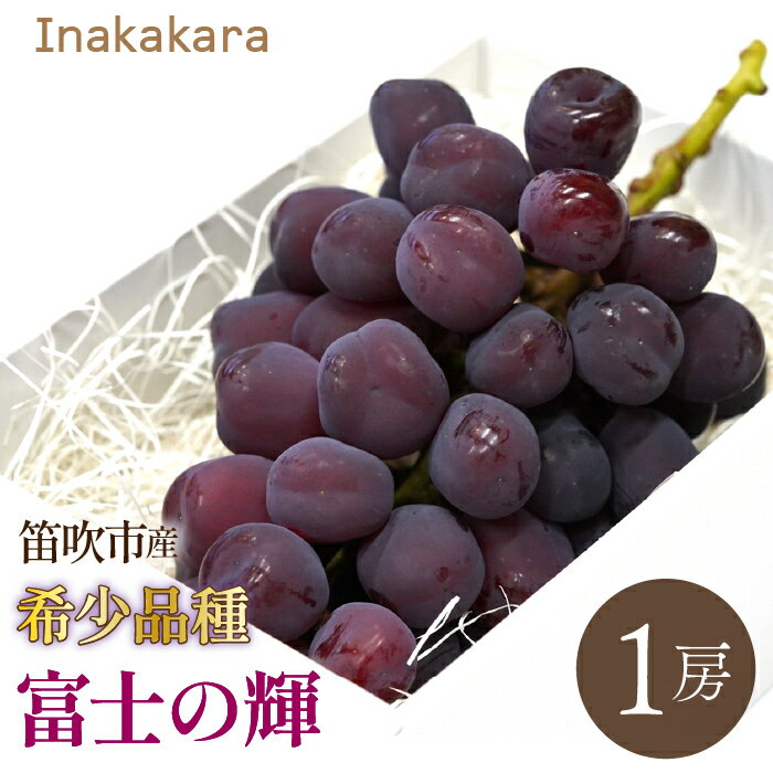 【2026年発送★先行予約】　Inakakara 希少品種「富士の輝」1房(約600~650g) 192-024-26y ふるさと納税 おすすめ ランキング ぶどう ブドウ 葡萄 笛吹市 国産 人気 期間限定 果物 フルーツ 旬 山梨県 送料無料 192-024