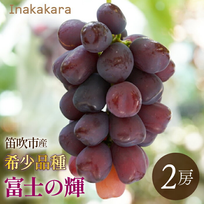 【2026年発送★先行予約】　Inakakara 希少品種「富士の輝」2房(約1.1kg~1.3kg) 192-024-26y ふるさと納税 おすすめ ランキング ぶどう ブドウ 葡萄 笛吹市 国産 人気 期間限定 果物 フルーツ 旬 山梨県 送料無料 192-025