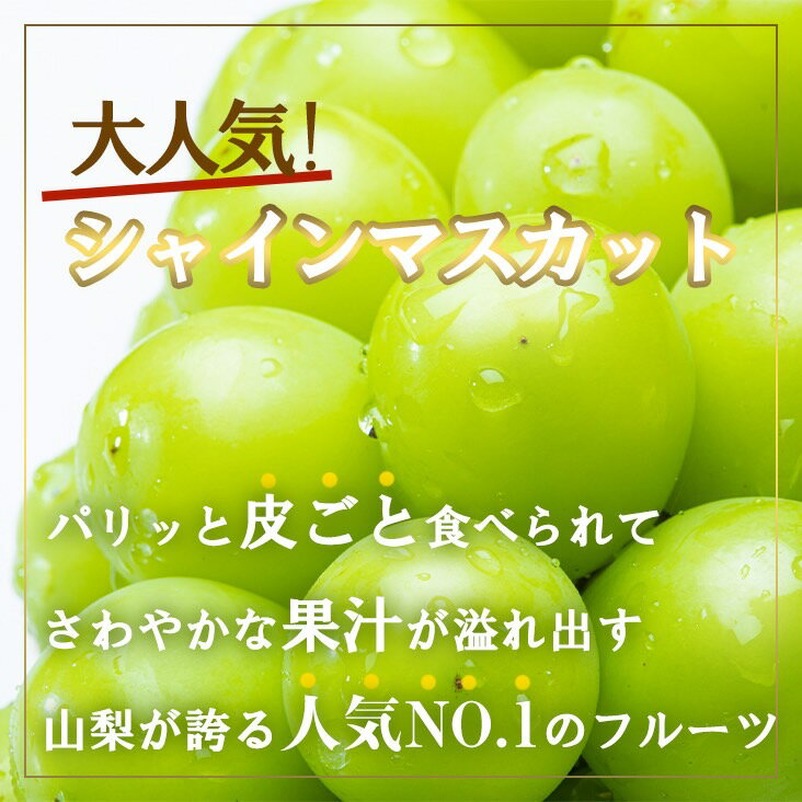 【ふるさと納税】【2026年発送★先行予約】厳選!!池田青果のシャインマスカット1.0kg　2~3房 ふるさと納税 シャインマスカット 笛吹市 国産 人気 期間限定 ぶどう ブドウ 葡萄 旬 果物 フルーツ 山梨県 送料無料 先行予約 173-006 - 画像3