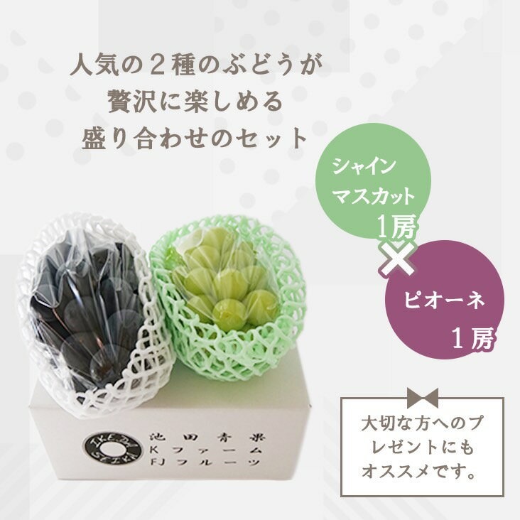 【ふるさと納税】【2026年発送★先行予約】 厳選!! 池田青果の【大人気ぶどう2種盛り合わせ】シャインマスカット・巨峰 or ピオーネ（1.0kg） (沖縄・離島配送不可) 期間限定 ランキング ぶどう おすすめ 贈答 ギフト 中元 お盆 旬 果物 フルーツ 笛吹市 送料無料 173-002 - 画像3