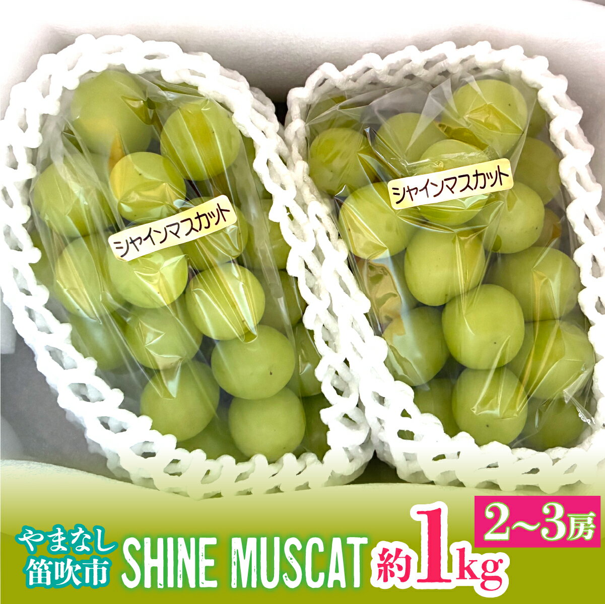 【2026年発送★先行予約】シャインマスカット約1kg（2-3房入） ふるさと納税 おすすめ ランキング シャインマスカット 笛吹市 国産 人気 期間限定 ぶどう ブドウ 葡萄 旬 果物 フルーツ デザート 山梨県 送料無料 214-004