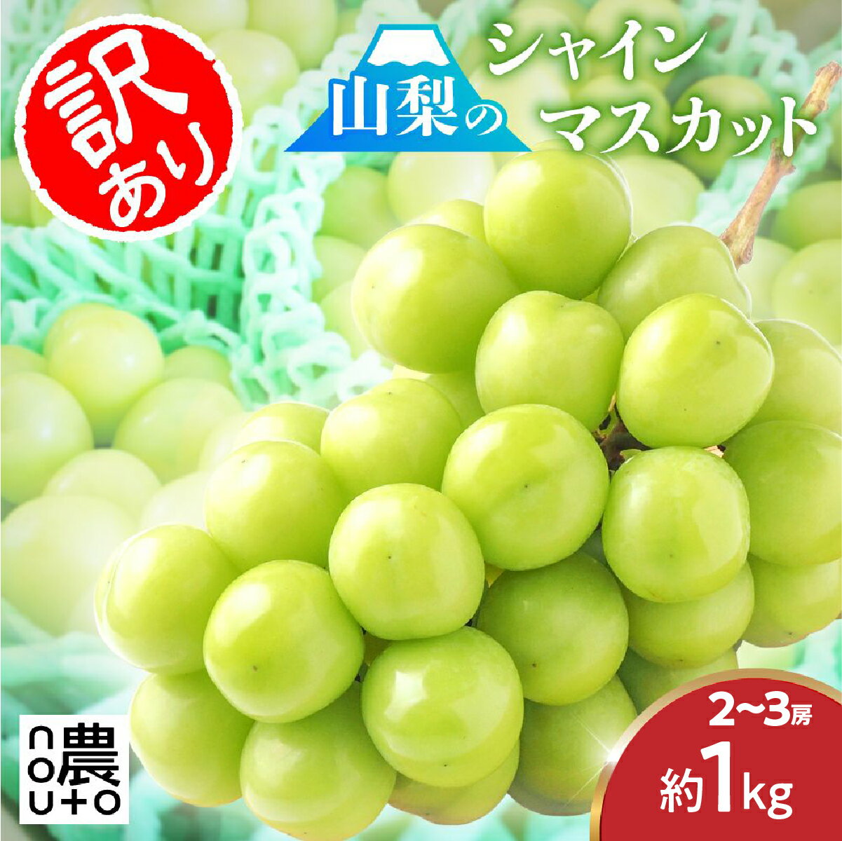 【2026年発送★先行予約】【訳あり】 シャインマスカット 2房～3房（1kg以上） 154-027 | 不揃い ご自宅用 ご家庭用 フルーツ 果物 高評価 人気 ランキング おすすめ 甘い 美味しい デザート 数量限定 送料無料 山梨県産 笛吹市 ぶどう