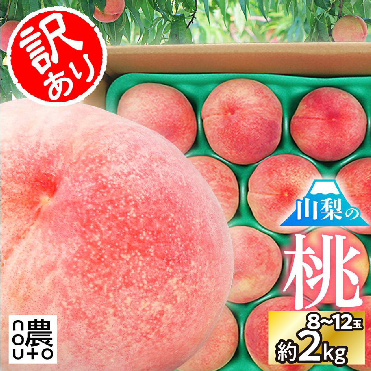 【2026年発送★先行予約】日本一の生産量 山梨県産 桃 訳あり 不揃い 大容量 8玉〜12玉 約2kg | 桃 もも 秀品 高評価 人気 ランキング おすすめ コスパ 甘い 高糖度 美味しい デザート 送料無料 産地直送 山梨県産 154-031