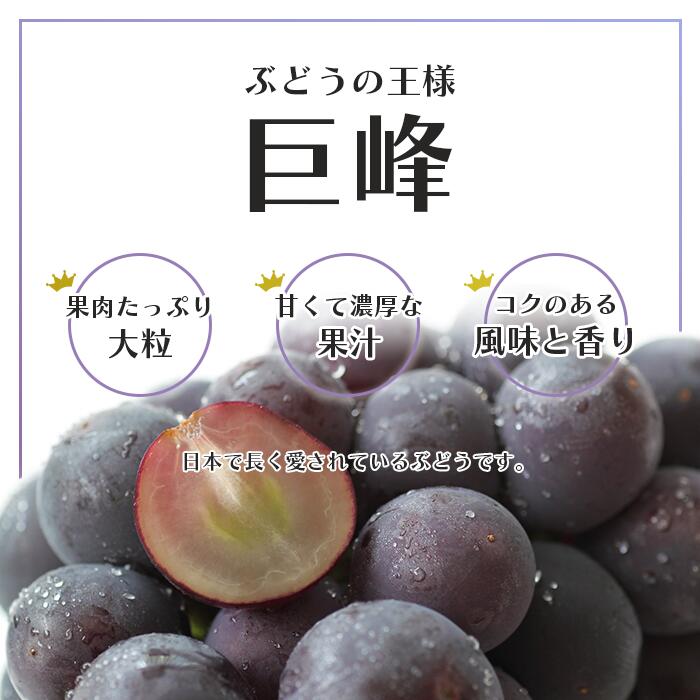 【ふるさと納税】 【2026年発送★先行予約】 巨峰 2〜3房 約1.2kg 154-026 | フルーツ 果物 高評価 人気 ランキング おすすめ 甘い 美味しい デザート 数量限定 送料無料 山梨県産 笛吹市 ぶどう 「販売」 KEIPE株式会社 - 画像3