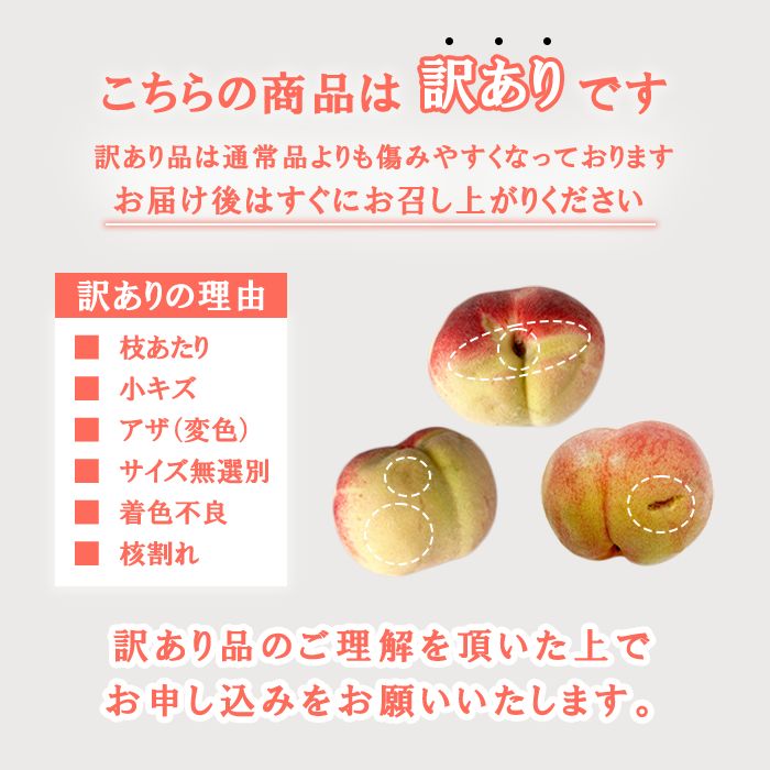 【ふるさと納税】【2026年発送★先行予約】日本一の生産量 山梨県産 桃 訳あり 不揃い 大容量 8玉〜12玉 約2kg | 桃 もも 秀品 高評価 人気 ランキング おすすめ コスパ 甘い 高糖度 美味しい デザート 送料無料 産地直送 山梨県産 154-031 - 画像2