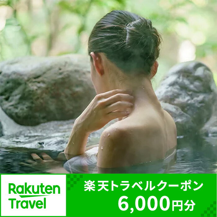 山梨県笛吹市の対象施設で使える楽天トラベルクーポン 寄附額 20,000円 ふるさと納税 旅行 トラベル クーポン 宿泊 温泉 山梨県 151-001