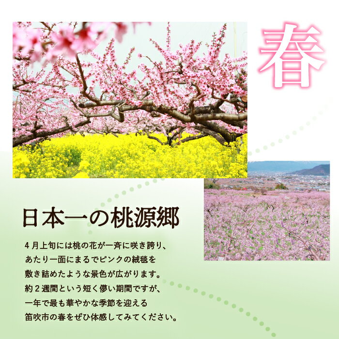 【ふるさと納税】山梨県笛吹市の対象施設で使える楽天トラベルクーポン 寄附額 20,000円 ふるさと納税 旅行 トラベル クーポン 宿泊 温泉 山梨県 151-001 - 画像3