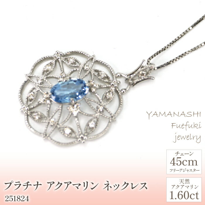 プラチナ　アクアマリン　ネックレス　管理番号251824　×1本 ふるさと納税 人気 おすすめ ランキング アクセサリー 宝石 ジュエリー 高級 記念日 プレゼント 山梨県 笛吹市 送料無料 天然石 218-070