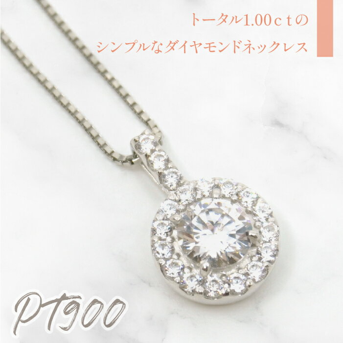 【ふるさと納税】プラチナ ダイヤ1.0ct フローディアネックレス 管理番号255144 ふるさと納税 人気 おすすめ ランキング アクセサリー ネックレス ペンダント 宝石 ジュエリー 高級 記念日 プレゼント 山梨県 笛吹市 送料無料 218-206 サムネイル2