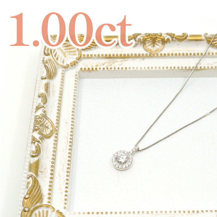 【ふるさと納税】プラチナ ダイヤ1.0ct フローディアネックレス 管理番号255144 ふるさと納税 人気 おすすめ ランキング アクセサリー ネックレス ペンダント 宝石 ジュエリー 高級 記念日 プレゼント 山梨県 笛吹市 送料無料 218-206 サムネイル3