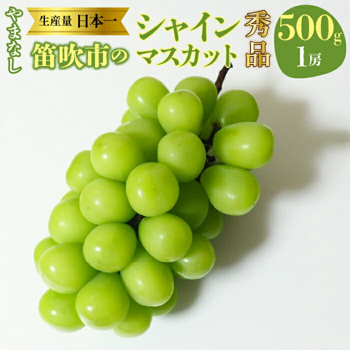 【2026年発送★先行予約】【2026年8月下旬～順次発送】山梨県　笛吹産　シャインマスカット　500g（1房）秀品 ふるさと納税 おすすめ ランキング シャインマスカット 笛吹市 国産 人気 期間限定 ぶどう ブドウ 葡萄 旬 果物 フルーツ 山梨県 215-004