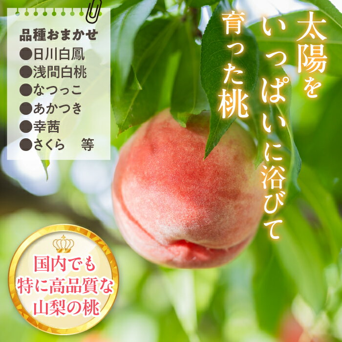 【ふるさと納税】【2026年発送★先行予約】完熟桃　約2kg ふるさと納税 おすすめ ランキング もも 桃 笛吹市 国産 人気 期間限定 果物 朝もぎ フルーツ デザート おやつ ピーチ 旬 お祝い お歳暮 お中元 フルーツギフト 山梨県 送料無料 222-001 サムネイル3