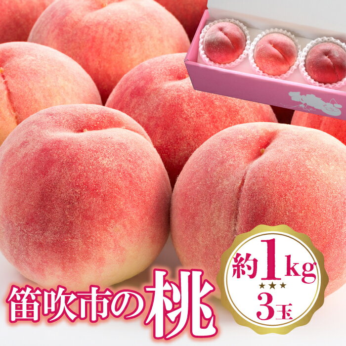 【2026年発送★先行予約】 桃 3玉入り(約1kg) ふるさと納税 おすすめ ランキング もも 桃 笛吹市 国産 人気 期間限定 果物 フルーツ 旬 山梨県 送料無料 222-009