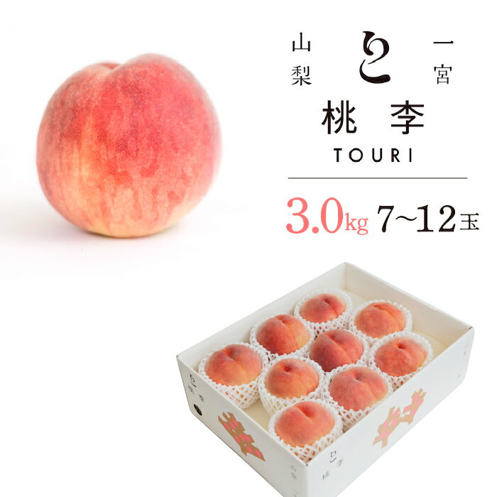 【2026年発送★先行予約】山梨一宮産　朝採り新鮮桃　3.0kg (7〜12玉）★ ふるさと納税 人気 おすすめ ランキング もも 桃 笛吹市 国産 人気 期間限定 果物 フルーツ 旬 山梨県 送料無料 122-011-26y