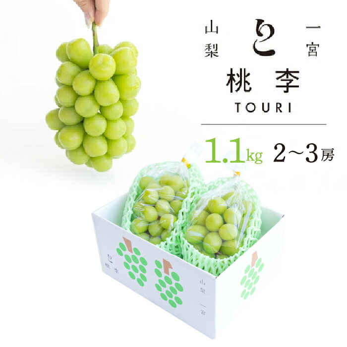 【2026年発送★先行予約】シャインマスカット約1.1kg（2~3房） ふるさと納税 人気 おすすめ ランキング シャインマスカット 国産 人気 期間限定 ぶどう ブドウ 葡萄 旬 果物 フルーツ 山梨県 笛吹市 送料無料 122-013