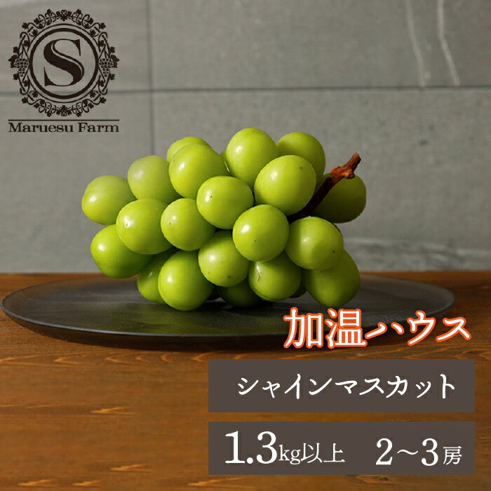 ＜25年発送＞【2026年発送★先行予約】「マルエス農園」加温ハウス　シャインマスカット　2房〜3房　1.3kg以上 ふるさと納税 笛吹市 国産 人気 期間限定 旬 果物 フルーツ 山梨県 送料無料 216-003