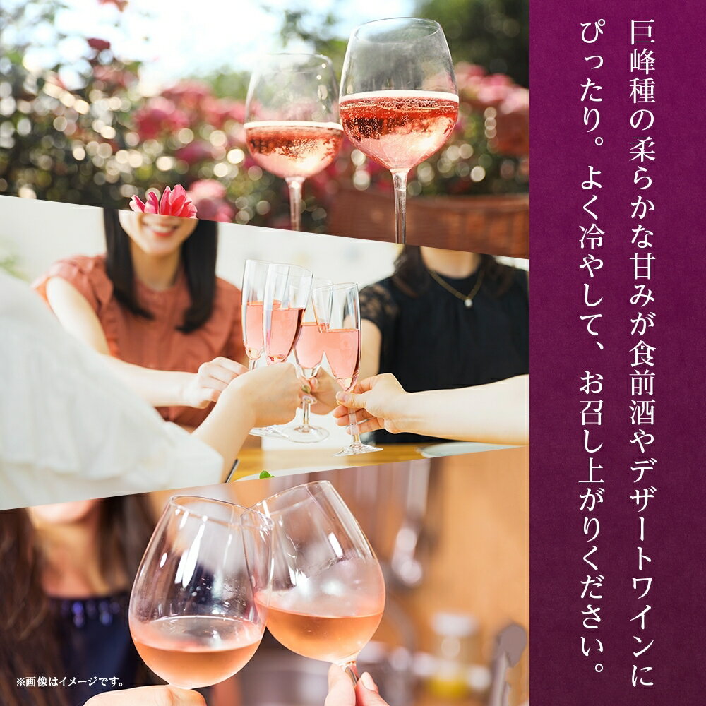 【ふるさと納税】巨峰ワイン 720ml×12本 ふるさと納税ワイン 巨峰ワイン ブドウ 葡萄 酒 お酒 果実酒 贈答 ギフト プレゼント 晩酌 宅飲み 家飲み キャンプ BBQ バーベキュー パーティー 熨斗 のし 名入れ不可 送料無料 山梨県 笛吹市 177-4-072 サムネイル3