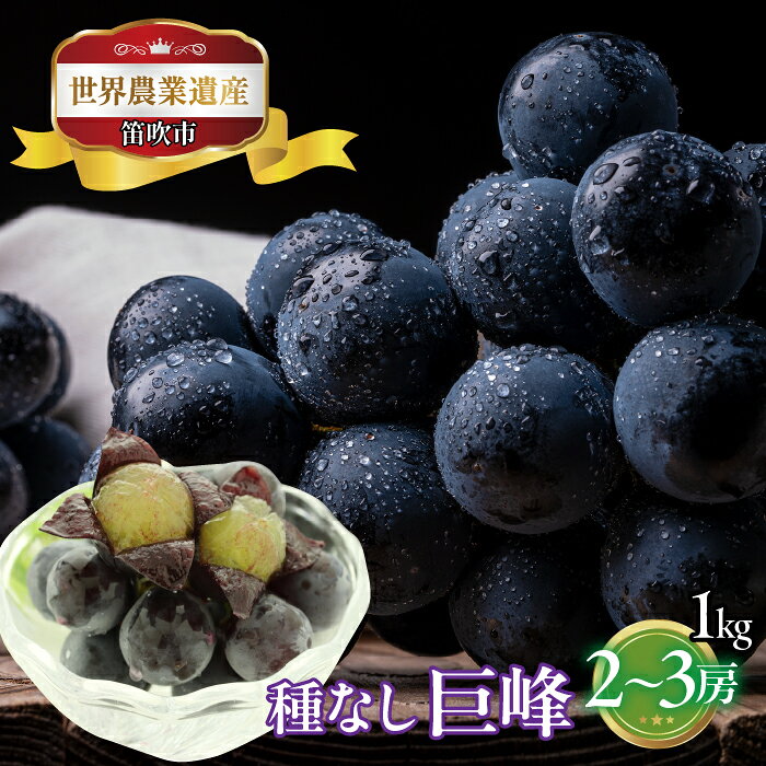 【2026年発送★先行予約】山梨県笛吹市産 種なし巨峰2房から3房 約1kg ふるさと納税 ぶどう 種なし巨峰 笛吹市 国産 人気 期間限定 果物 フルーツ 旬 山梨県 送料無料 223-003