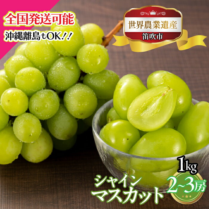 【2026年発送★先行予約】山梨県笛吹市産 シャインマスカット2房～3房 1kg ふるさと納税 ぶどう シャインマスカット 笛吹市 国産 人気 期間限定 果物 フルーツ 旬 山梨県 送料無料 223-007
