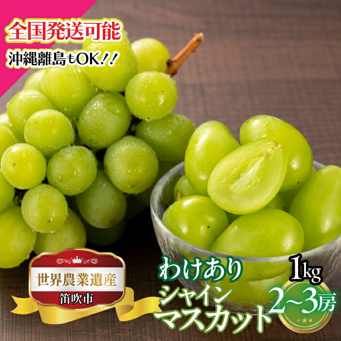 【2026年発送★先行予約】山梨県笛吹市産　わけありシャインマスカット　1kg　2房から3房 ふるさと納税 ぶどう シャインマスカット 笛吹市 国産 人気 訳あり 期間限定 果物 フルーツ 旬 山梨県 送料無料 223-008